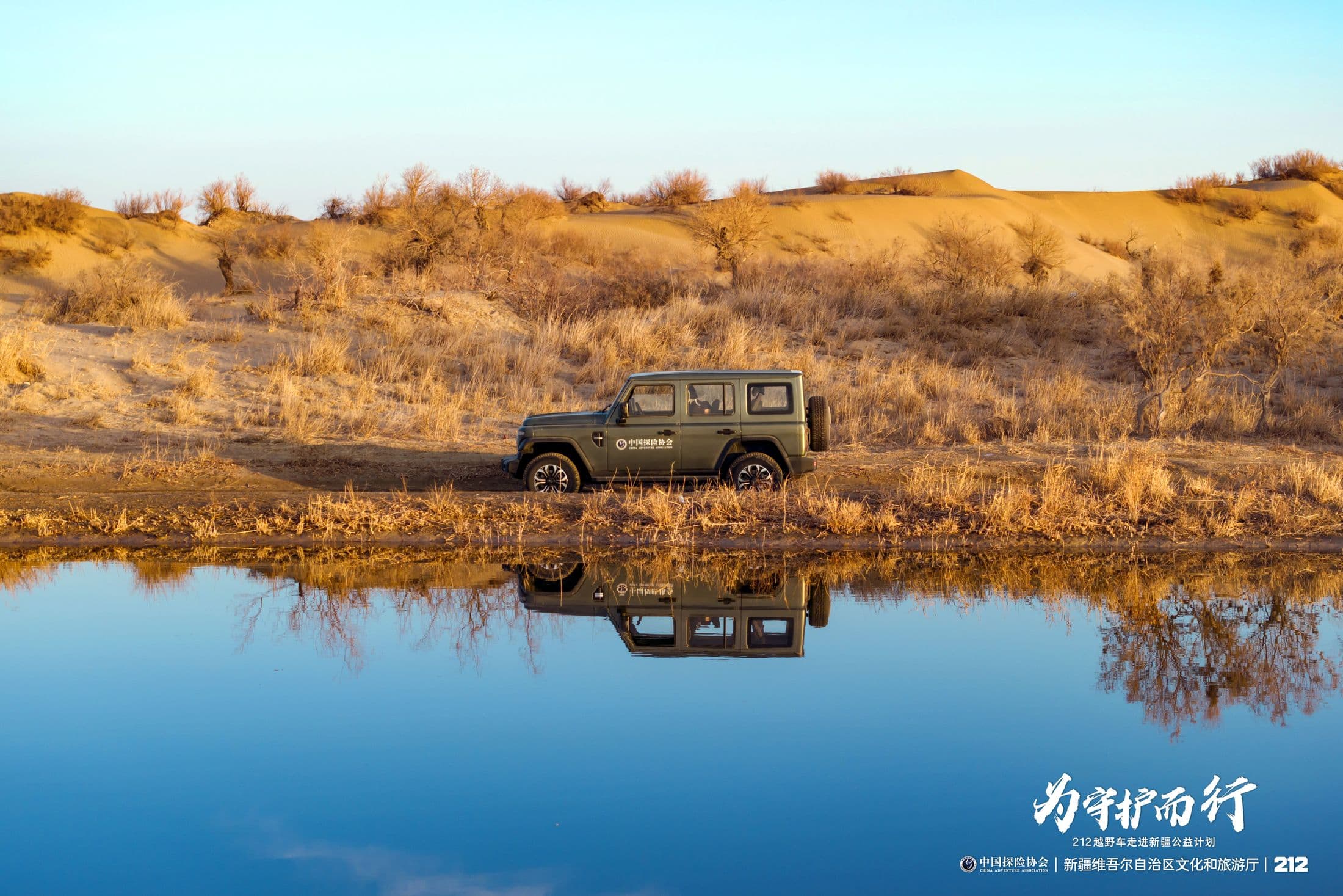 Oasis: Still water in the desert